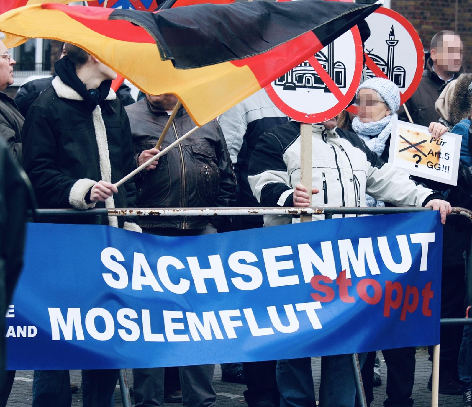 manifestazione afd