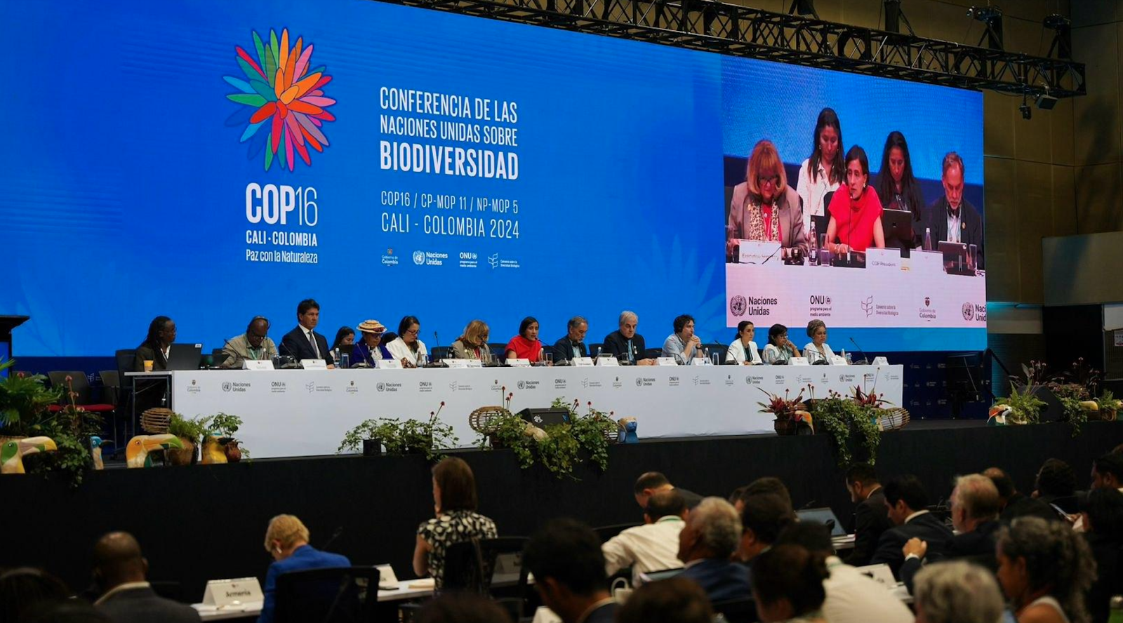 uno scatto della cop16